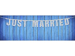 Banner Just Married
