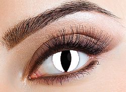 Eyecasions Kontaktlencse - White Cat