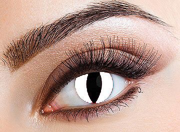 Eyecasions Kontaktlencse - White Cat