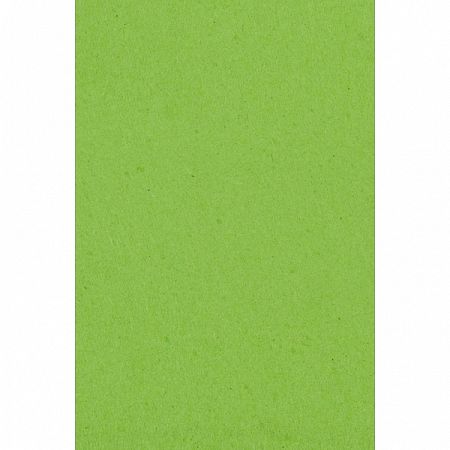 Amscan Abrosz - zöld 137 x 274 cm