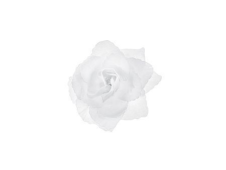 PartyDeco Dekoráció - Fehér mű rózsa 24 db